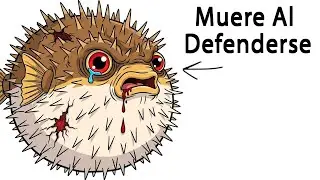 Por Qué Nacer Como Un Pez Erizo Espinoso Es Ser Odiado Y Devorado Aun Siendo Mortal