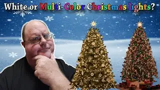 White or Multi Color Christmas lights?