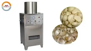 Automatic Commercial Garlic Peeling Skinning Machine Auto Industrial Garlics Skin Peeler Equipment