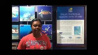 The Palau National Marine Sanctuary (PNMS) and Tuna Research in Palau: Part 1 (April 2020)