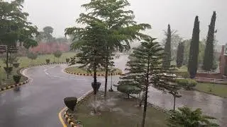 It is raining in Islamabad - Beautiful raindrops in Police Academy - Today's weather in Islamabad