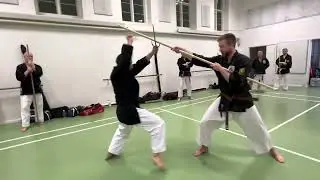 Tokushinryu Gasshuku, Hvidovre 2023. Chatan Yara no Sai bunkai and Renzoku drills.