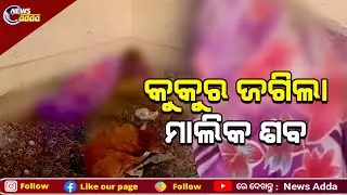 Dog Found Guarding Beggar's Dead Body | Emotional Video | ହଜି ଯାଉଛି କି ମାନବିକତା?