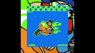 KAWASAKI X FUKA