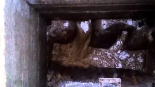 Blocked Drains Tavistock