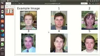 Active_Learning__Lightly--Caltech101_Faces--knn-SimSiam