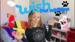 Wish Shopping Haul (Pet Addition)