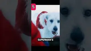 All CGI animals in james gunn movies & shows
