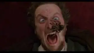 Marv Puts the Tarantula Back While Screaming, Home Alone 1 Reversed
