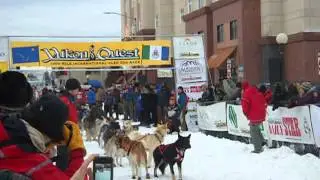 Simon Mcloughlin, YQ300, GO ALASKIWI KENNEL!