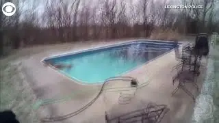WEB EXTRA: Deer Rescued From Pool