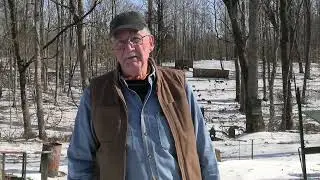 Почему люди так расстроились из-за этого?