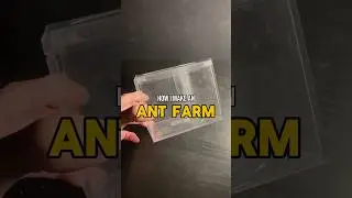 Making an Ant Farm For Pet Ants