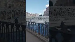 Львиный мост #shorts #relax  #юмор #прикол  #спб