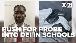 Parents demand 50-state probe of DEI in schools: 'Jeopardizing student safety'