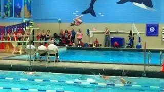 diving 2017
