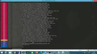 LarvMass V1 Laravel Mass Exploit