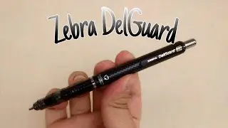 Zebra Delguard İnceleme