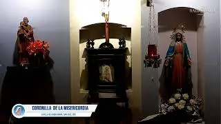 💙 Coronilla a la Divina Misericordia, 3 am, 29-01-2026