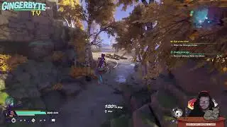 Fun Coop games with frands! Wayfinder, Delta Force, who knows!