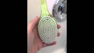 Bath/Shower Body Brush w/ Long Handle