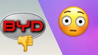 Der Absturz von BYD 😳 TECHSOME Reaction