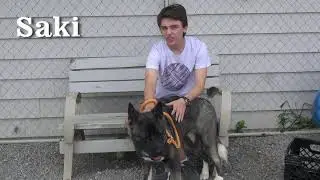 Brown County Humane Shelter