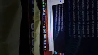iPhone 12 pro flashing problem solve