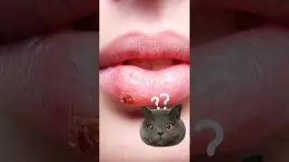 Жвачка для ночного клуба? #shorts  #факты #наука #trap #club #medical #slowed #speed