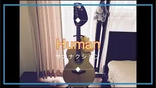 HUMAN / サカナクション「歌ってみた」【Acoustic Guitar Cover】