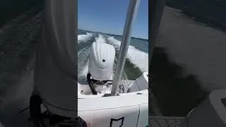 SEAFOX 228T, SUZUKI 250  #seafox #boatrides #boats #226 #traveler