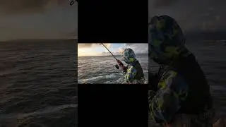Prendido 🔥 con mantarraya en el estero de ensenada #pesca #fishing #ensenada