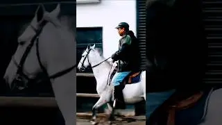 horse running video | | horse race video  | | #shorts #animal #horse