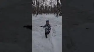 We started our pond hockey rink!