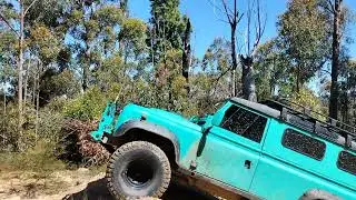 TR4050 equipped Perentie
