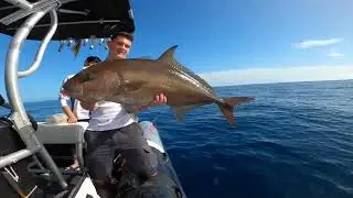 La técnica de pesca que nos hizo triunfar en las Islas Canarias [Samas y Serviolas]