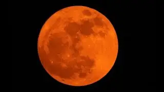 Super Moon 2017  Nikon P900 | Blood Moon