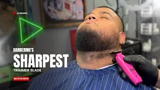 THE BEST TRIMMER BLADE I HAVE EVER USED!