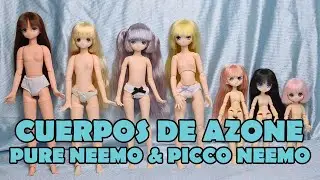 PURE NEEMO Y PICCO NEEMO | CUERPOS DE AZONE | comparaci&oacute;n, diferencias, tama&ntilde;os, tipos...