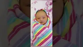 琦琦出生第二天20181113