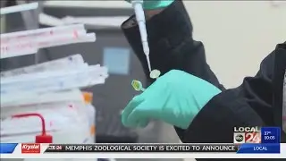 National Black HIV/AIDS Awareness Day promotes awareness