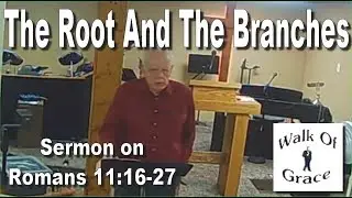 The Root And The Branches - Sermon on Romans 11:16-27