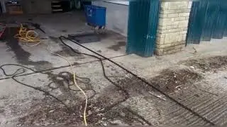 Big Job on - Mark Recovery & Laying