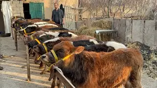 👁️BUGUN FPYDASI KERAKMAS BOSHASHGA QOYVORDI SHOSHLIG ARZON JOYDAN 2026_01_03_yanvar.
