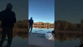 Rainbow Trout at Veterans Memorial Pond  in NV #pondfishing #shorts #troutfishing #bouldercity