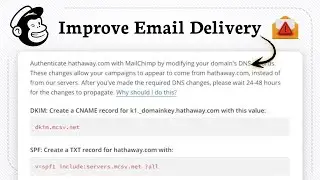 How to Avoid mailchimp Going To Spam (email deliverability)