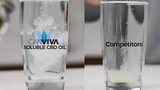 CANVIVA SOLUBLE CBD Tincture Allows You to Create CBD Beverages at Home for Anxiety, Stress and Pain