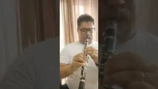 Requinta Mib Weril Cruzeiro _ ( &agrave; Venda )
