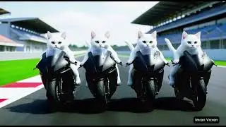 Cute White Cats Bike Race 🏍️🐱 | Realistic  Motorcycle Racing | Cute White Cats Bike Race 😍🏍️ |