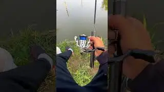 C&acirc;u lure c&aacute; l&oacute;c, c&aacute; chẽm, vược cảm gi&aacute;c, kỹ năng c&acirc;u lure #fishing #fishinglure #shorts